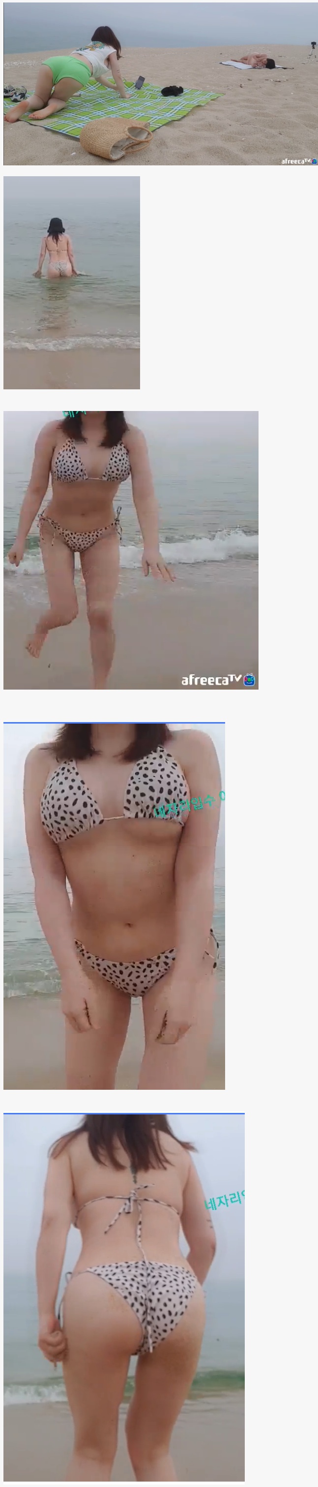 자동 임시글