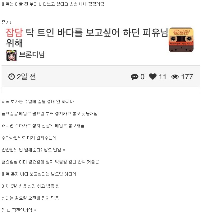포모스 얍얍-피유 커플 알리바이 만들기 예측 얍얍-피유 커플 알리바이 만들기 예측