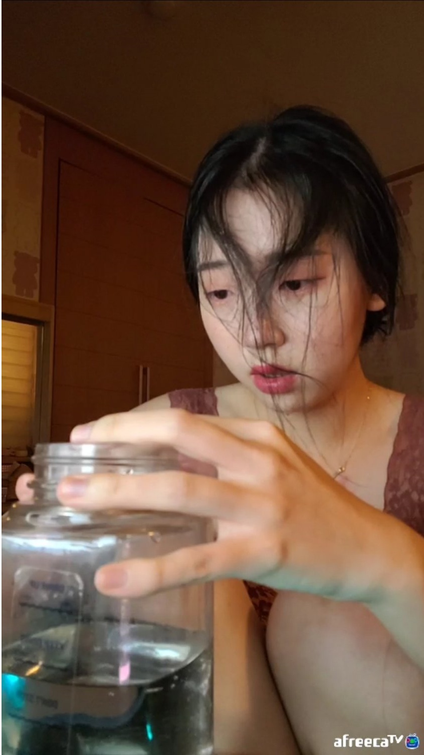 bj전지현 가슴 