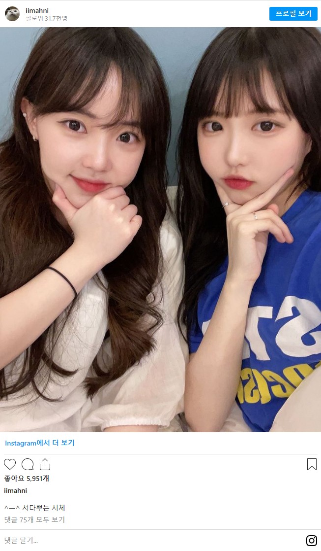 포모스 봉순이가 셀카를 진짜 잘찍는듯 봉순이가 셀카를 진짜 잘찍는듯