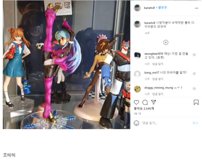 포모스 나이가 보이는 BJ의 피규어 진열장 나이가 보이는 BJ의 피규어 진열장