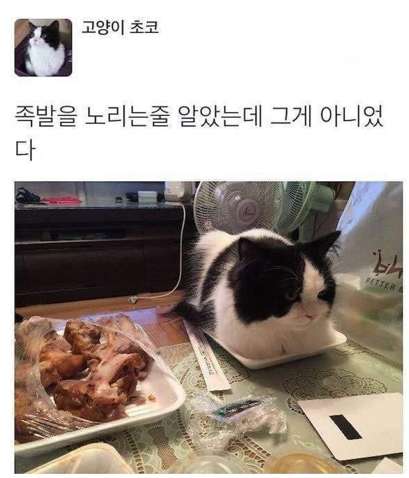 유멐ㅋ