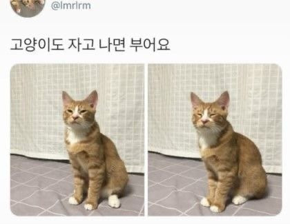 유멐ㅋ