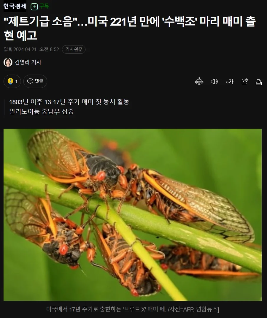 1719236242493819.webp