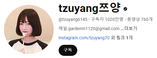 현재 쯔양 구독자 수 추이 상황