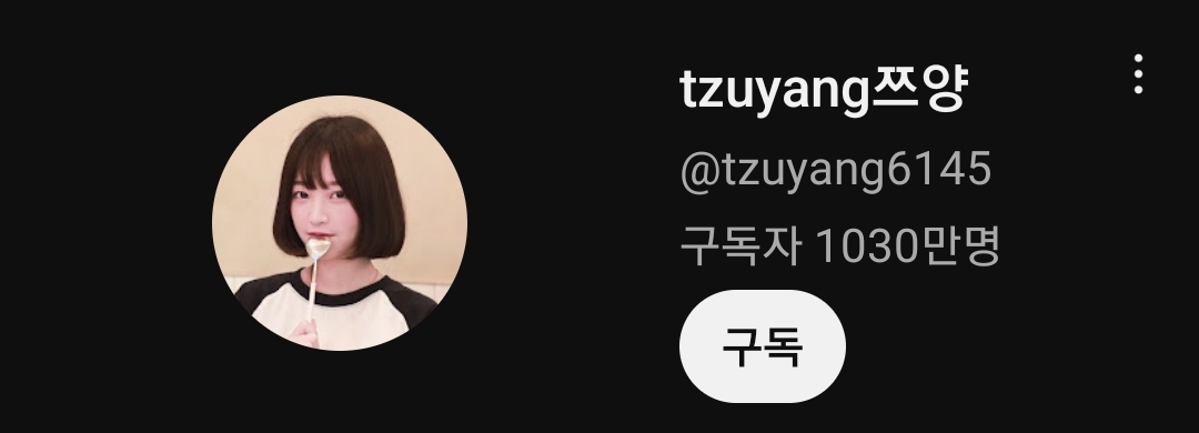 현재 쯔양 구독자 수 추이 상황