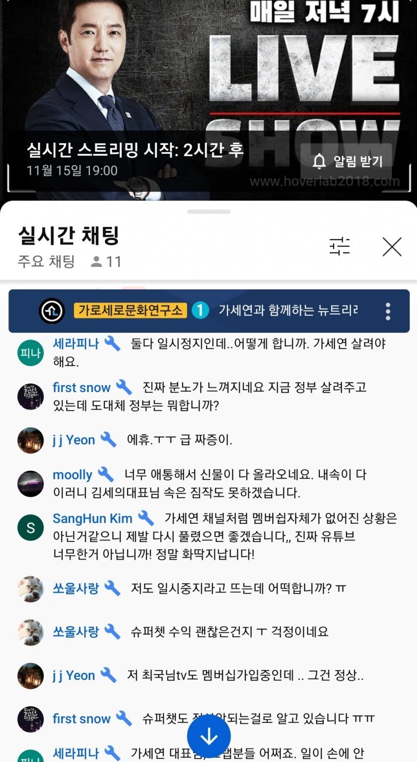 이번 유튜브 수익정지에 가세연은 언급없는 이유 