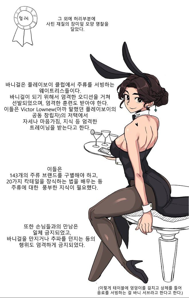 IMG_6999.jpeg ㅇㅎ) 바니걸에 대해 알아보는 만화. manwha