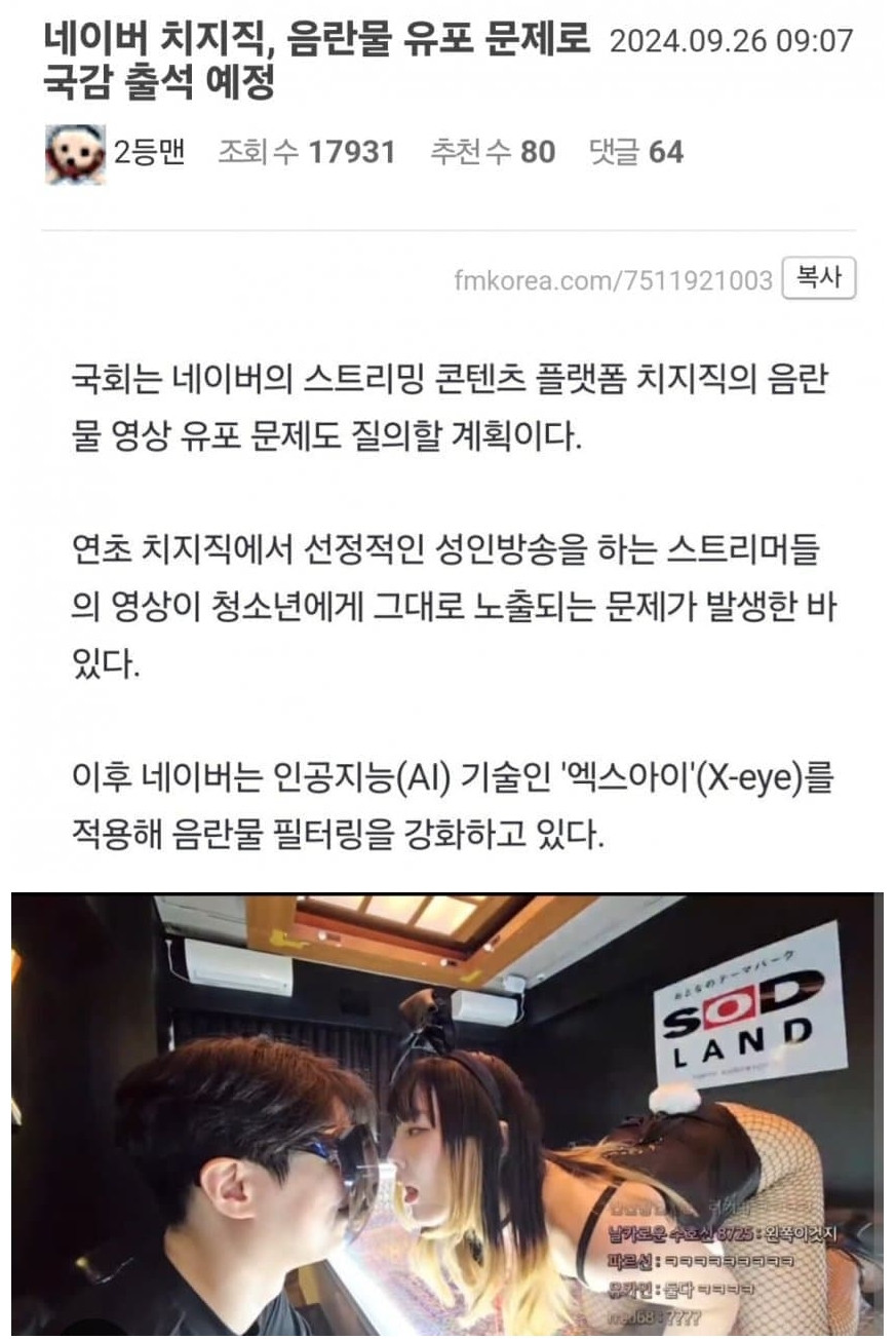 네이버 치지직, 음란물 유포 이슈로 국감 출석 예정