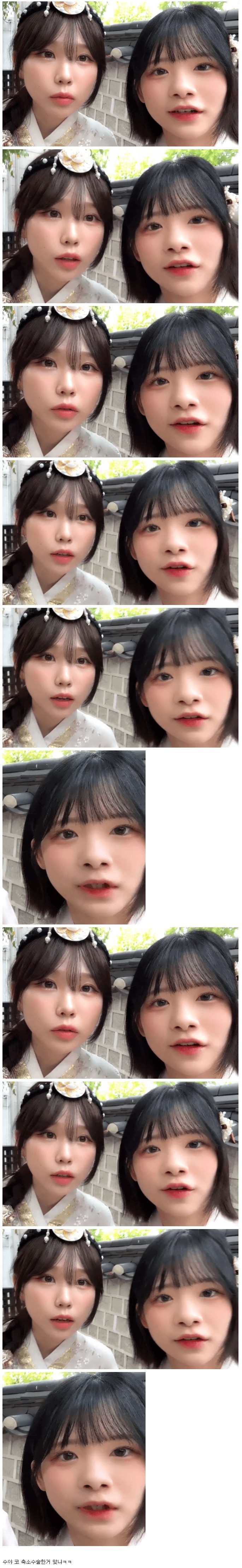 안녕수야 VS 우정잉 코 크기 비교