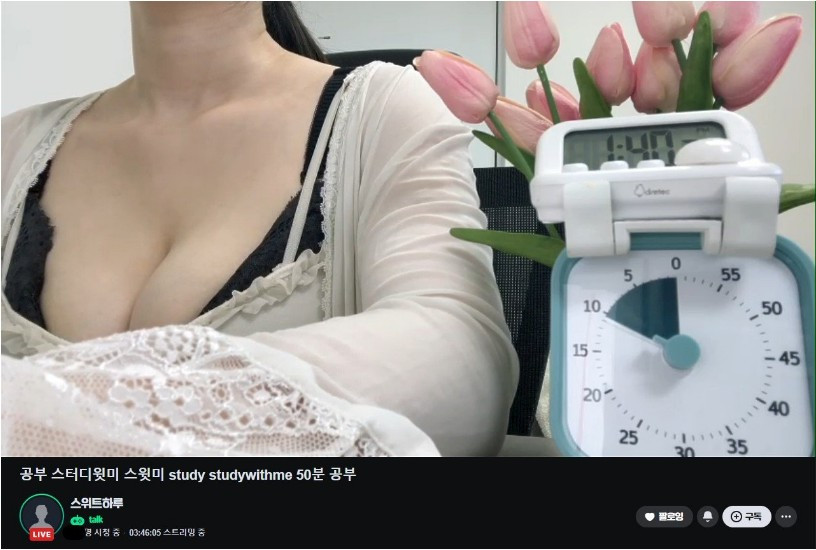 네이버 치지직 스터디 방송 근황