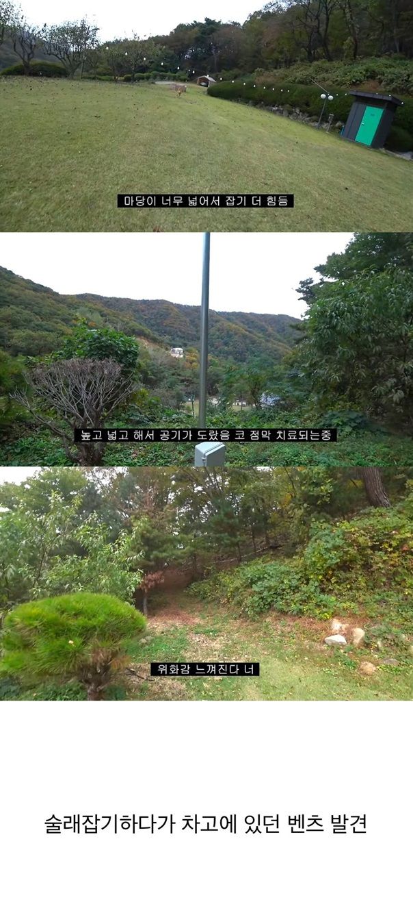 갑자기 유튜버 집에 들어온 떠돌이 개의 정체