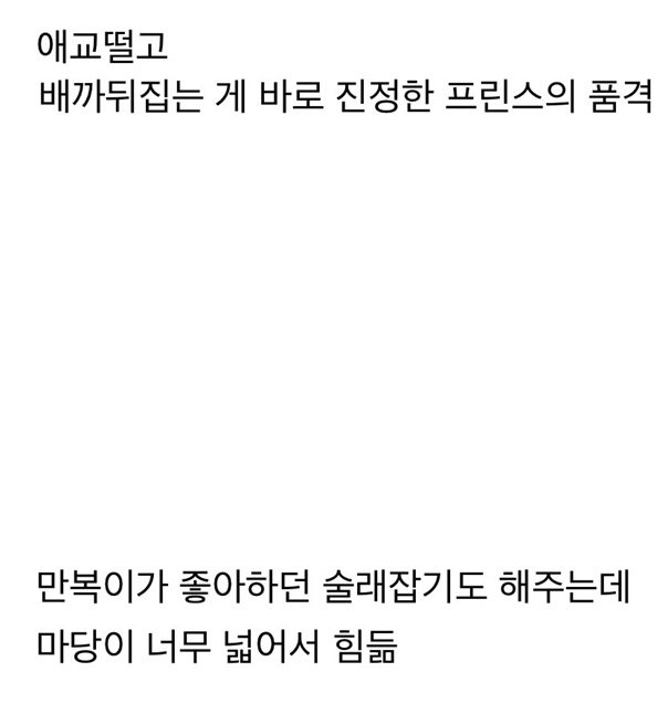 갑자기 유튜버 집에 들어온 떠돌이 개의 정체