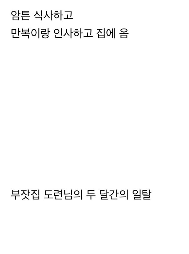 갑자기 유튜버 집에 들어온 떠돌이 개의 정체