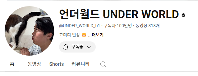 단 8개월만에 100만 유튜버가 된 고양이 채널 