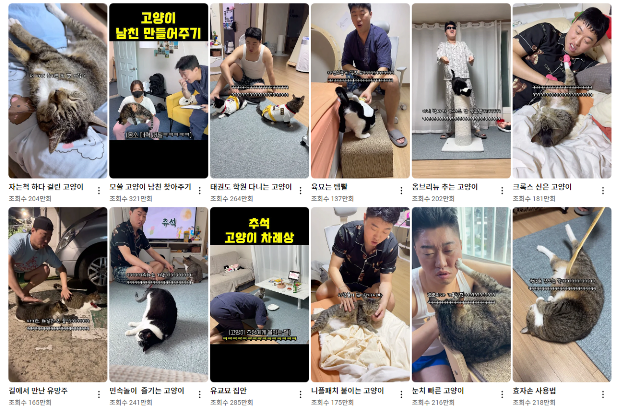 단 8개월만에 100만 유튜버가 된 고양이 채널 