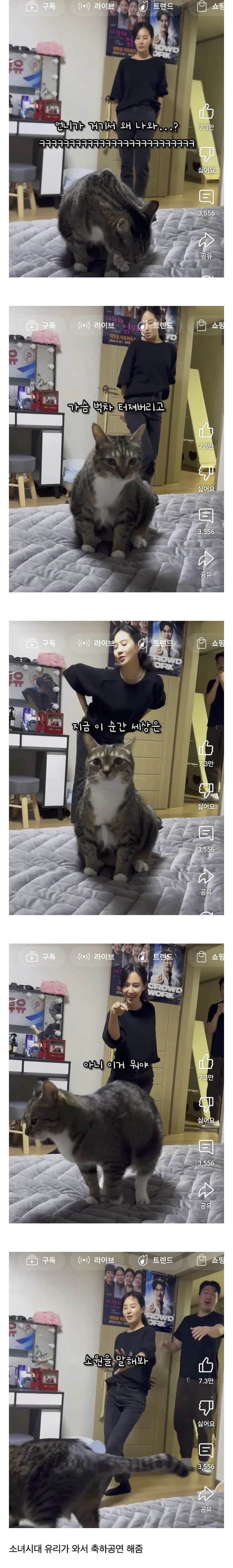유튜브 구독자 100만 달성한 고양이채널 축하공연 클라스