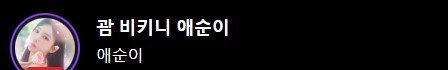 괌에서 비키니 방송하는 애순이