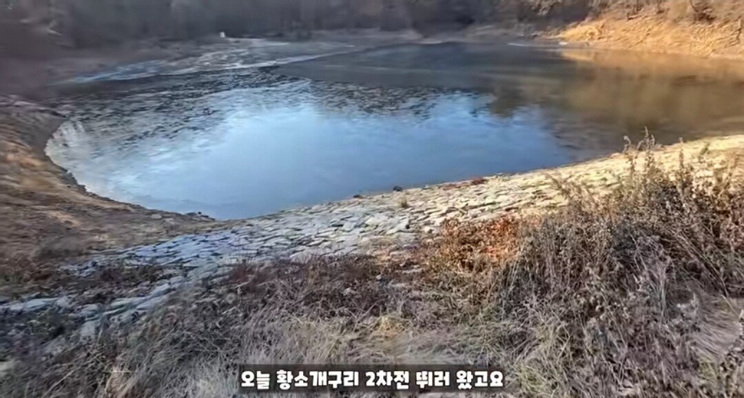 동면하는 황소개구리 잡아구워먹는 유튜버