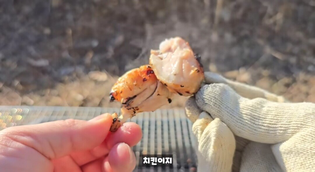 동면하는 황소개구리 잡아구워먹는 유튜버