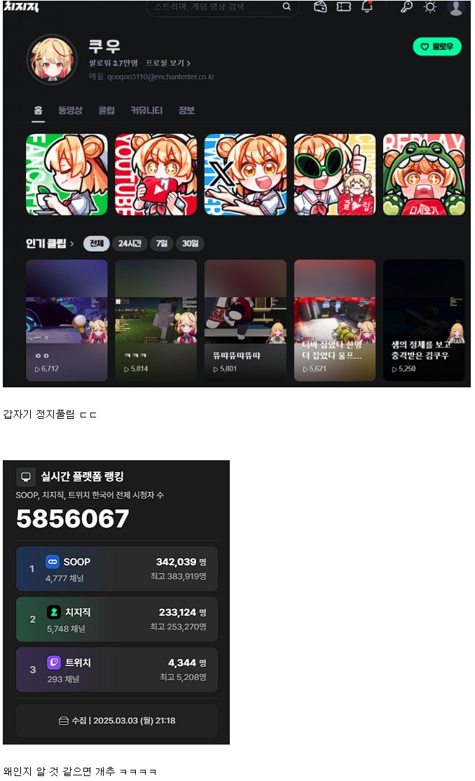 치지직에서 3년 정지먹은 버튜버 근황