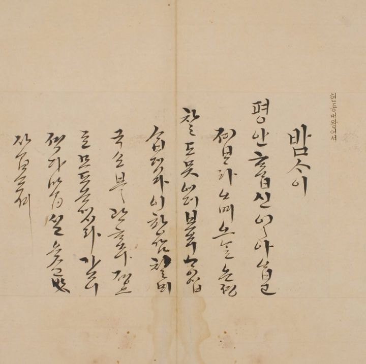 1746184964856496.jpg