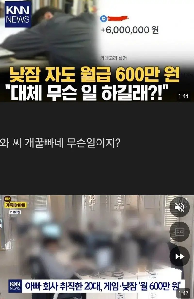 1746331694053556.jpg