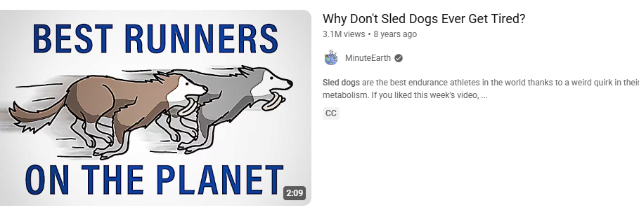 1746338855302392.png