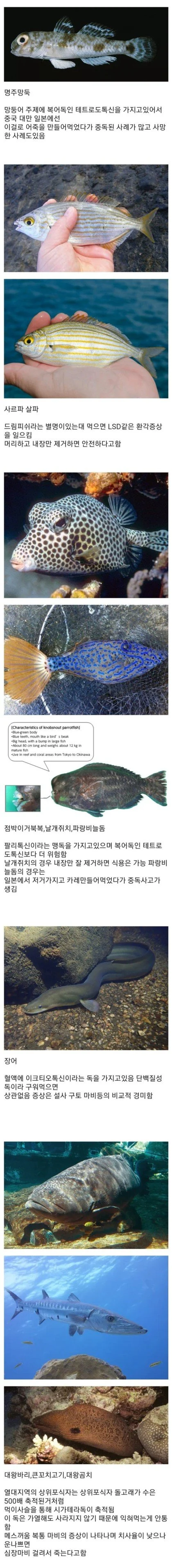 1746687142307122.webp