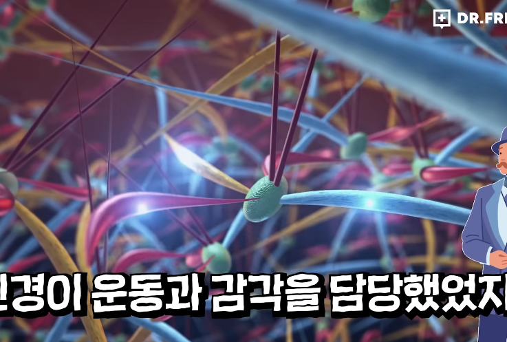 1747187077640354.webp