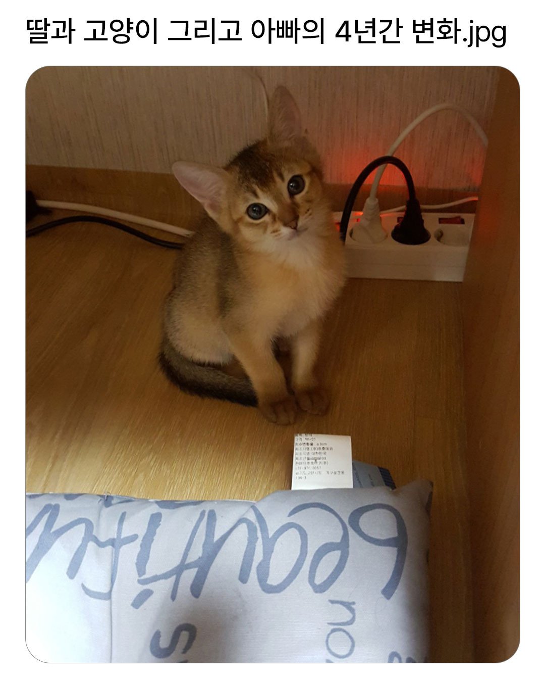 1747436334331276.jpg