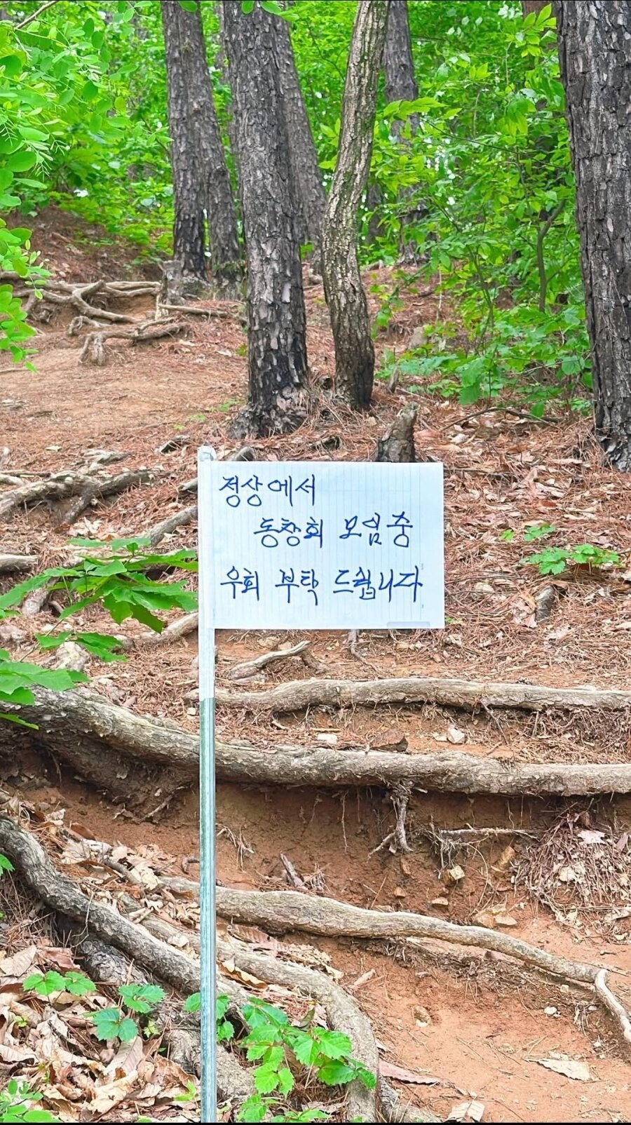1747528197868628.jpg