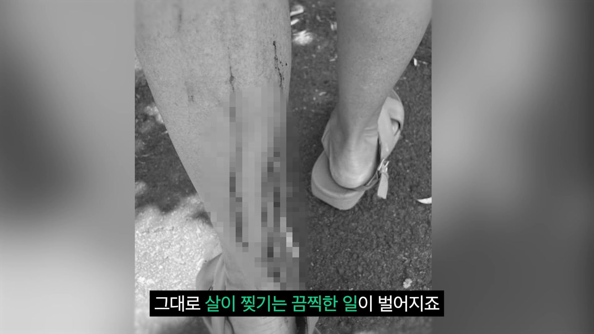 스포츠중계,무료스포츠중계,해외스포츠중계
