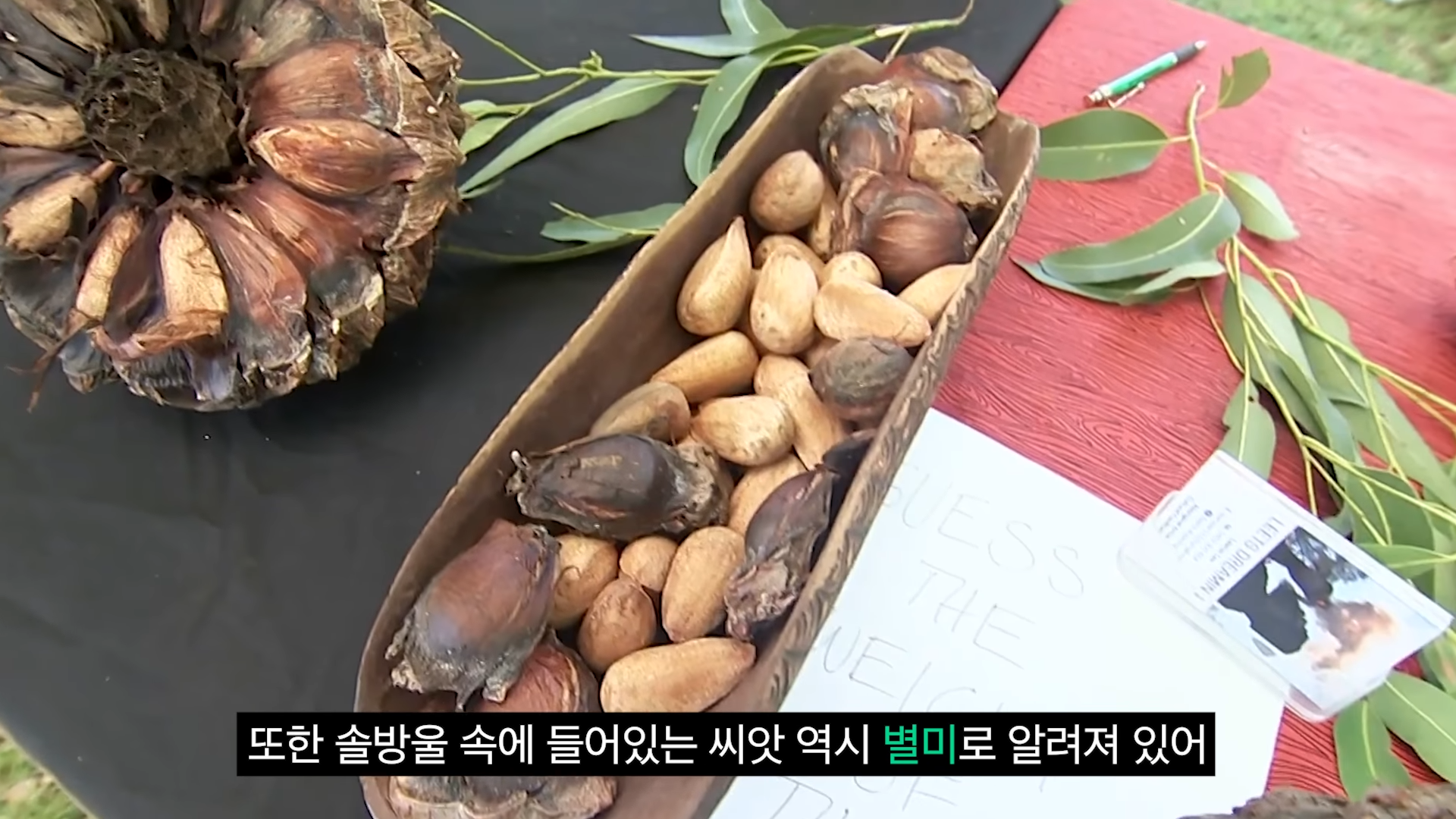 스포츠중계,무료스포츠중계,해외스포츠중계