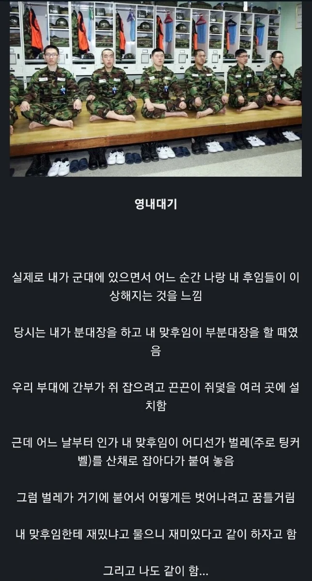 1748047550552486.webp