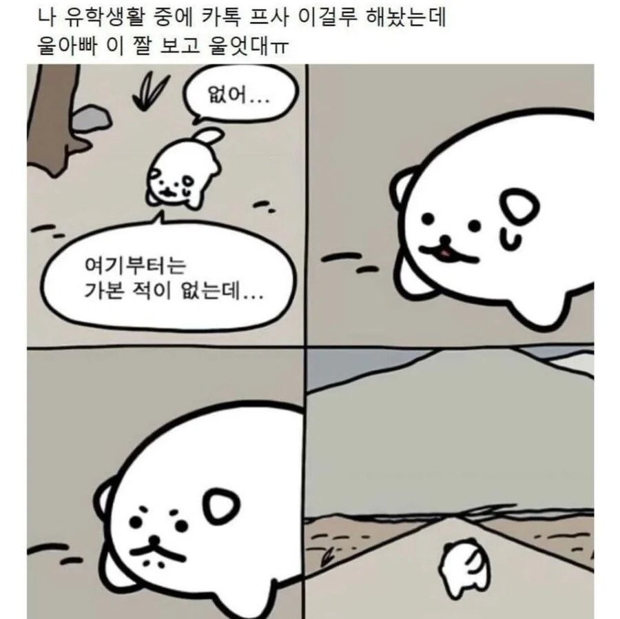 1748389159298890.jpg