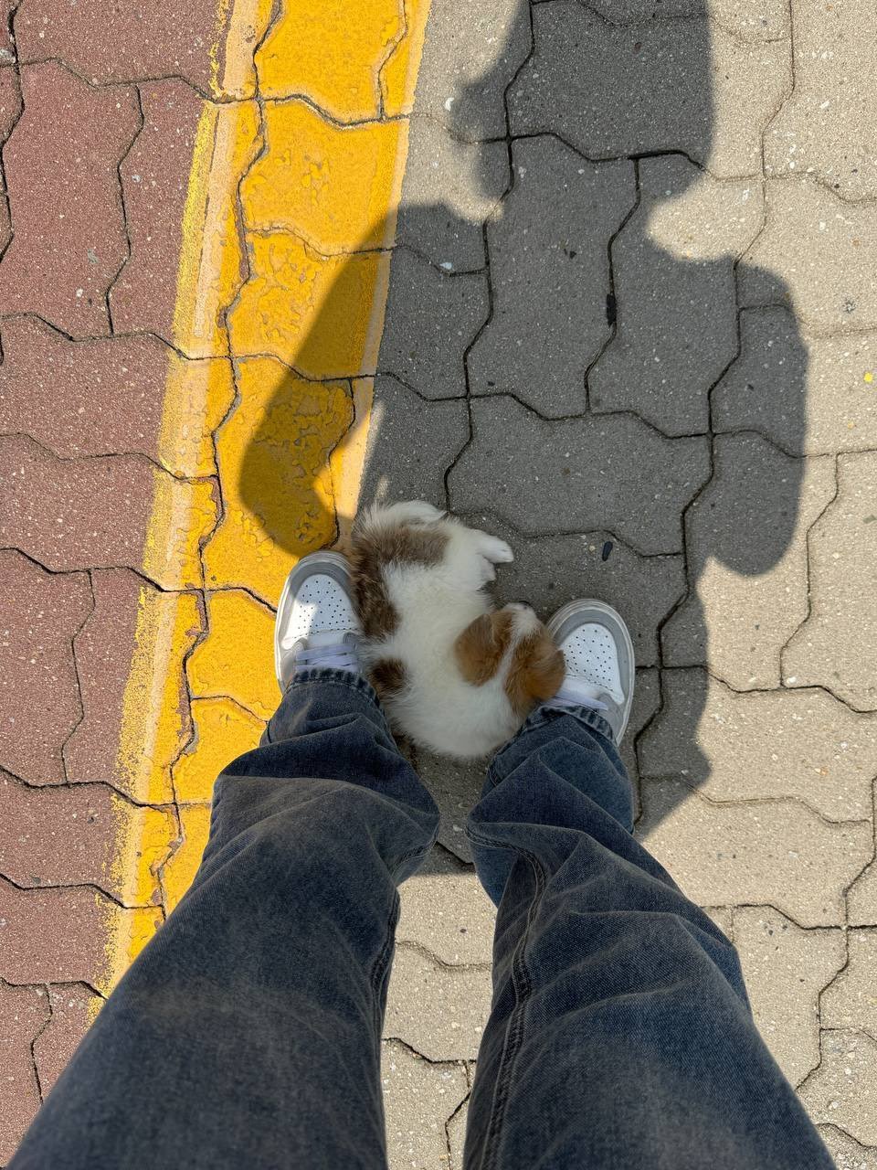 1749091400271978.jpg