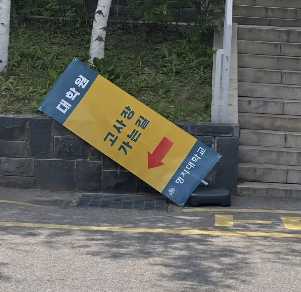 1749204483599344.png