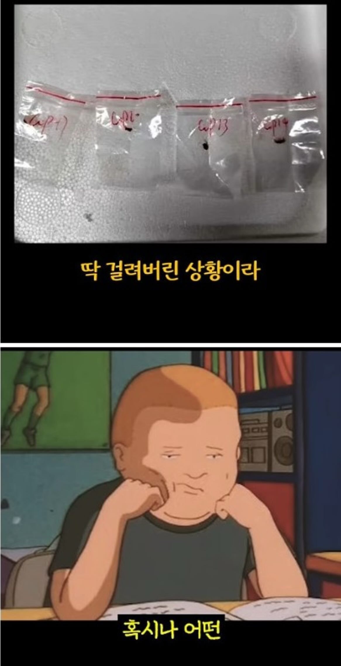 스포츠중계,무료스포츠중계,해외스포츠중계