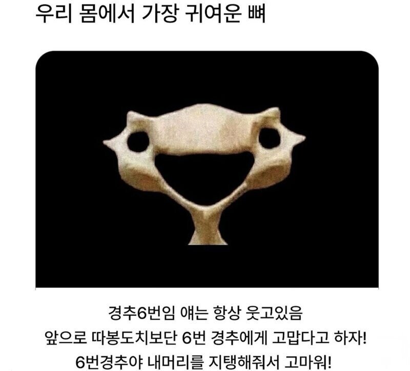 1750221876813232.jpg