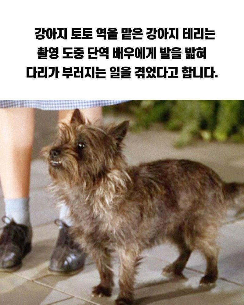 1750288274399498.jpg