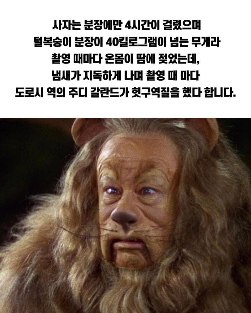1750288274788390.jpg