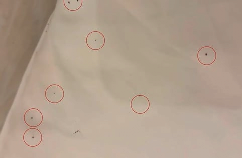 스포츠중계,무료스포츠중계,해외스포츠중계
