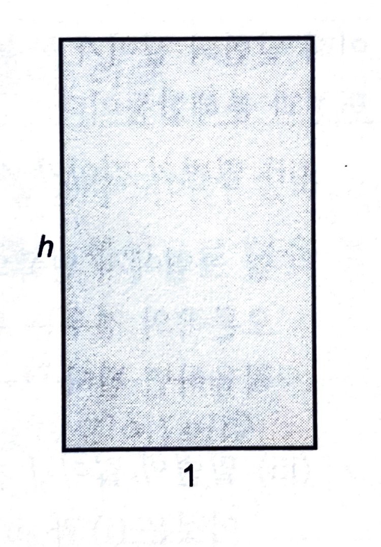 1750561159863705.jpg
