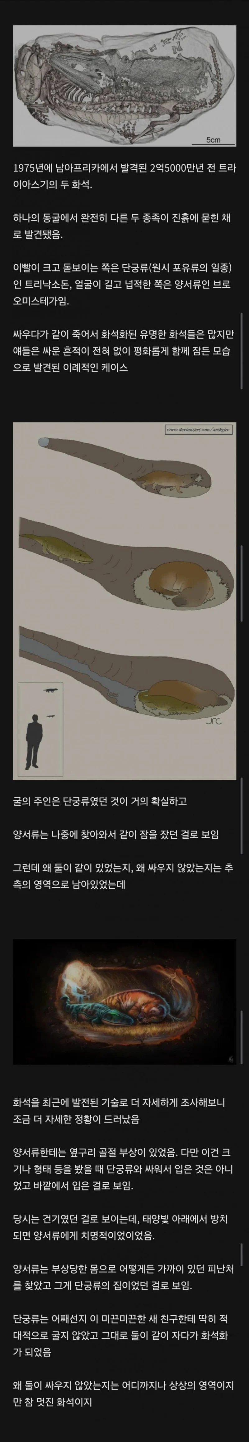 1750924669762468.webp