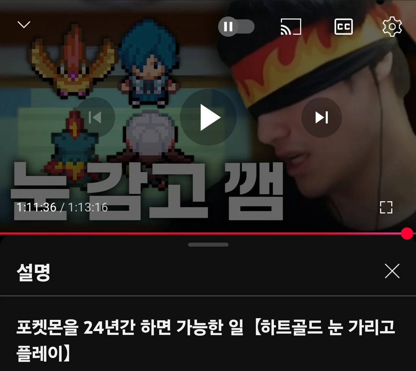 포켓몬을 24년간 하면 가능한 일 ㅎㄷㄷ