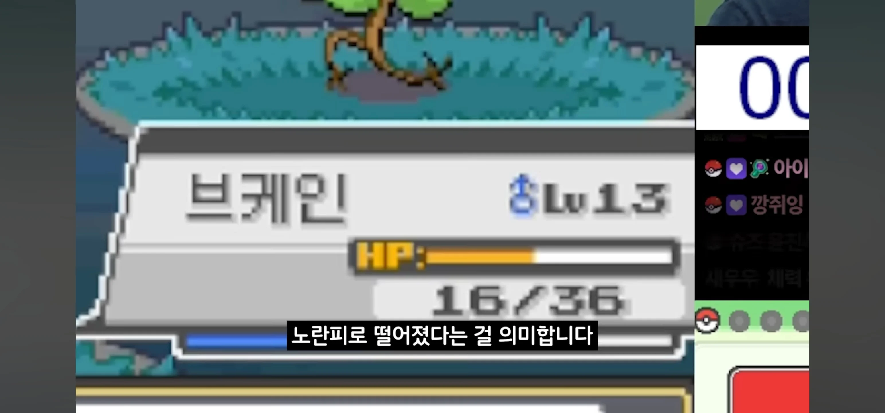 포켓몬을 24년간 하면 가능한 일 ㅎㄷㄷ