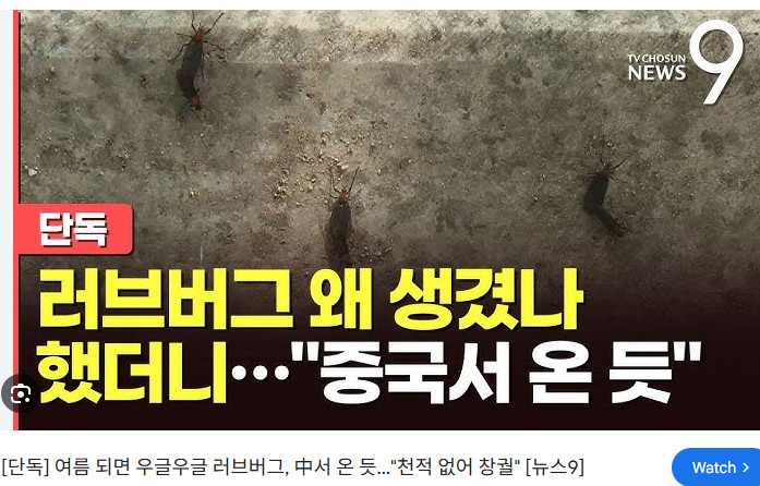 스포츠중계,무료스포츠중계,해외스포츠중계