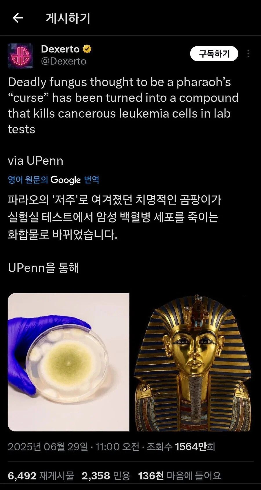 1751327412386286.jpg