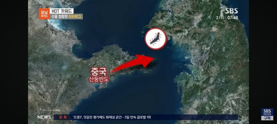 스포츠중계,무료스포츠중계,해외스포츠중계